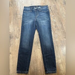Judy Blue Jeans. Size 09/29 Skinny